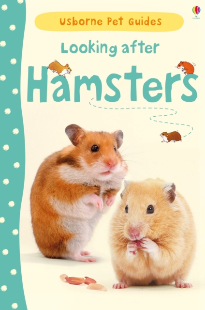 Looking after Hamsters, Hardback Book