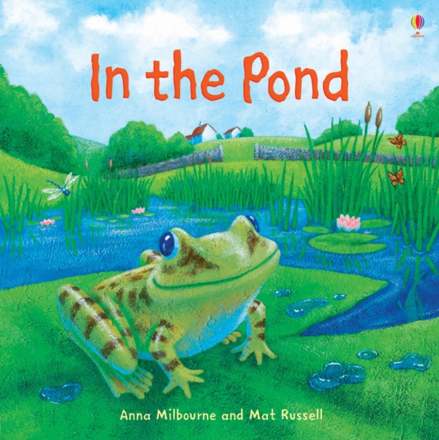 In the Pond, Paperback / softback Book