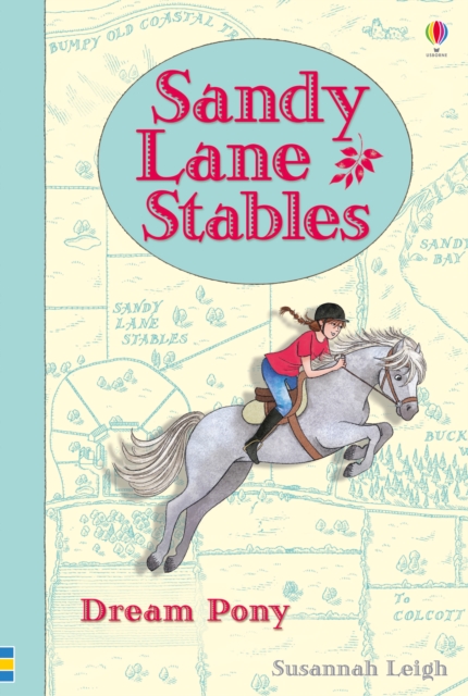 Sandy Lane Stables Dream Pony, Hardback Book