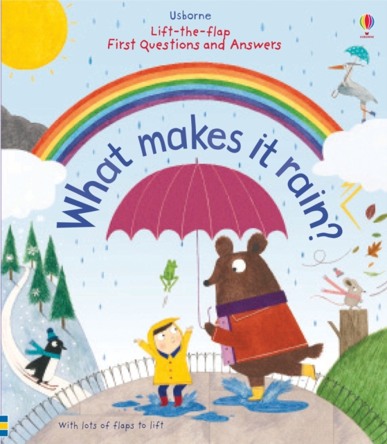 First Questions and Answers: What makes it rain?, Board book Book