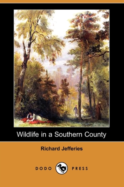 Wildlife in a Southern County (Dodo Press), Paperback / softback Book