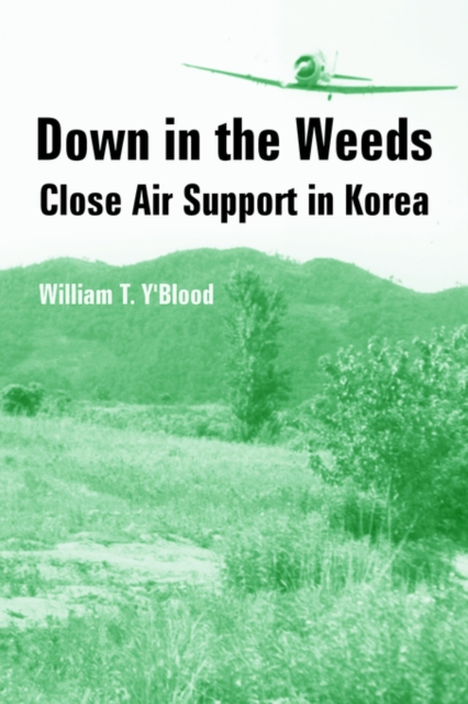 Down in the Weeds : Close Air Support in Korea, Paperback / softback Book