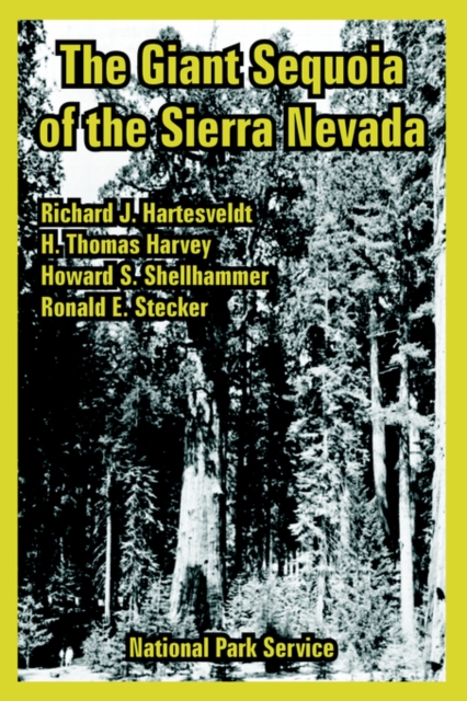 The Giant Sequoia of the Sierra Nevada, Paperback / softback Book