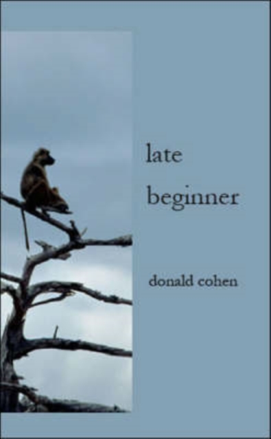 Late Beginner, Paperback / softback Book