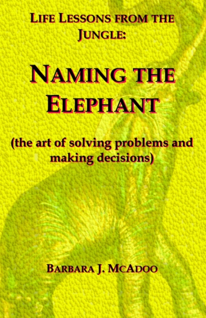 Life Lessons from the Jungle : Naming the Elephant (the Art of Solving Problems and Making Decisions), Paperback / softback Book