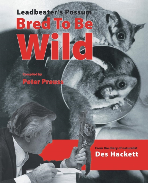 Leadbetter's Possum : Bred to be Wild - From the Diary of Naturalist Des Hackett, Paperback / softback Book