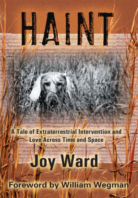 Haint : A Tale of Extraterrestrial Intervention and Love Across Time and Space, EPUB eBook