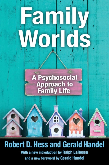 Family Worlds : A Psychosocial Approach to Family Life, Paperback / softback Book