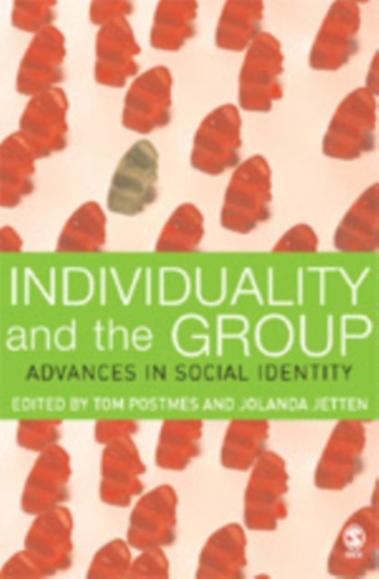 Individuality and the Group : Advances in Social Identity, Hardback Book