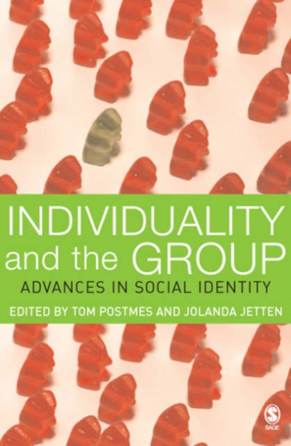 Individuality and the Group : Advances in Social Identity, Paperback / softback Book