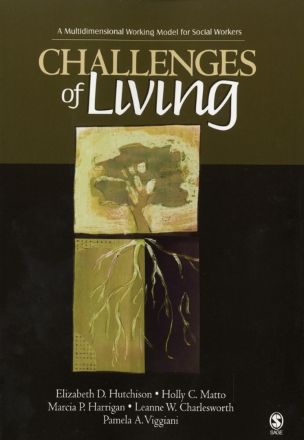 Challenges of Living : A Multidimensional Working Model for Social Workers, Paperback / softback Book