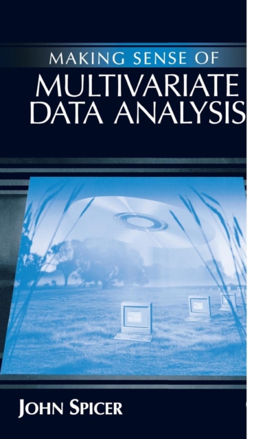 Making Sense of Multivariate Data Analysis : An Intuitive Approach, Hardback Book