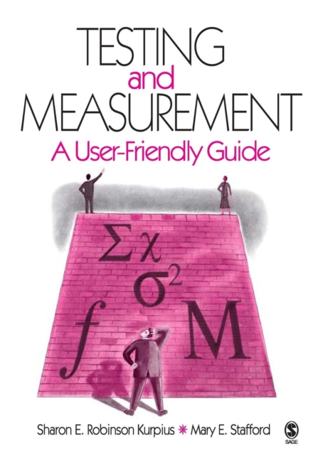 Testing and Measurement : A User-Friendly Guide, Paperback / softback Book