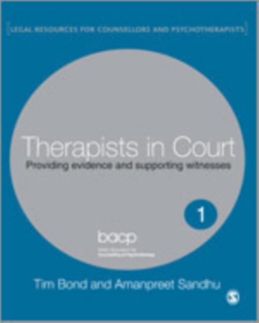Therapists in Court : Providing Evidence and Supporting Witnesses, Hardback Book