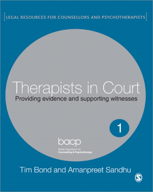 Therapists in Court : Providing Evidence and Supporting Witnesses, Paperback / softback Book