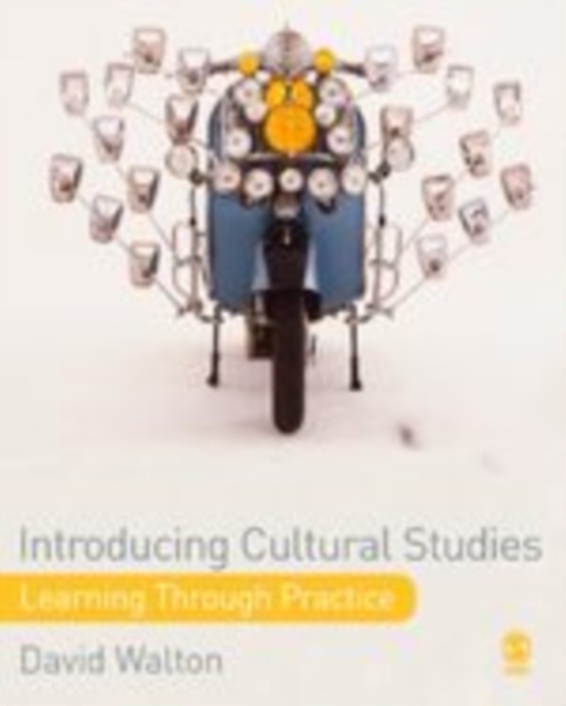 Introducing Cultural Studies : Learning through Practice, Hardback Book