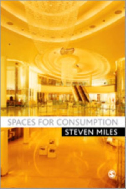 Spaces for Consumption, Hardback Book