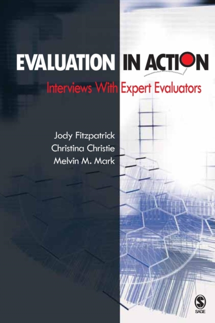 Evaluation in Action : Interviews With Expert Evaluators, Paperback / softback Book