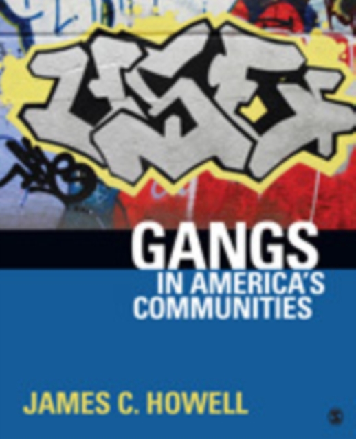 Gangs in America's Communities, Paperback Book