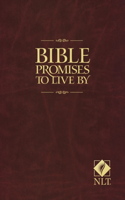 Bible Promises To Live By, Paperback / softback Book