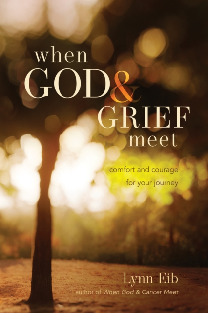 When God & Grief Meet, Paperback / softback Book