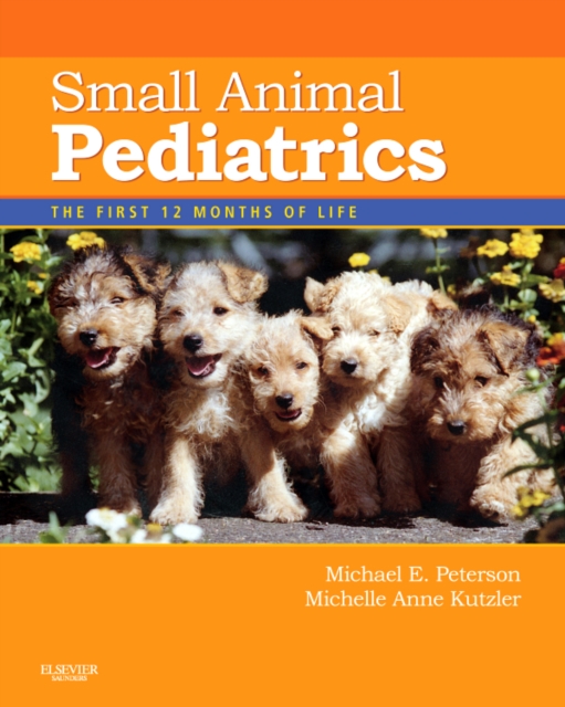 Small Animal Pediatrics : The First 12 Months of Life, Paperback / softback Book