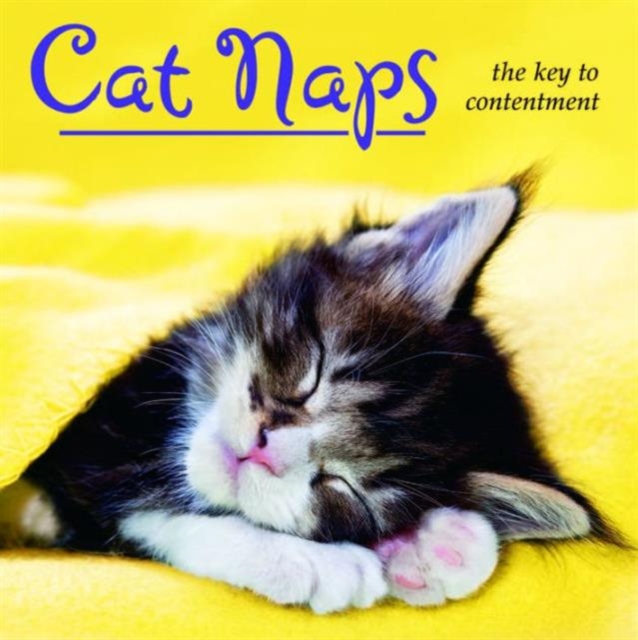Cat Naps : The Key to Contentment, Hardback Book