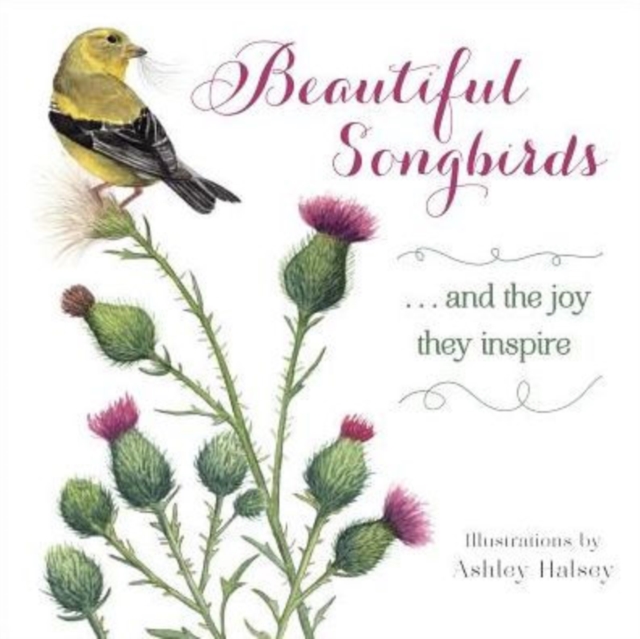 Beautiful Songbirds : ...and the joy they inspire, Hardback Book