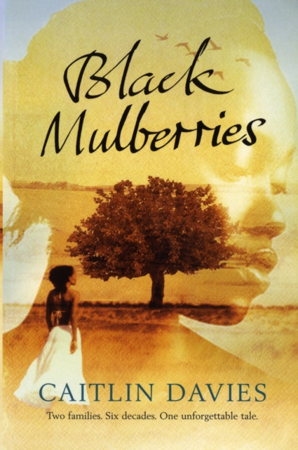 Black Mulberries, Paperback / softback Book