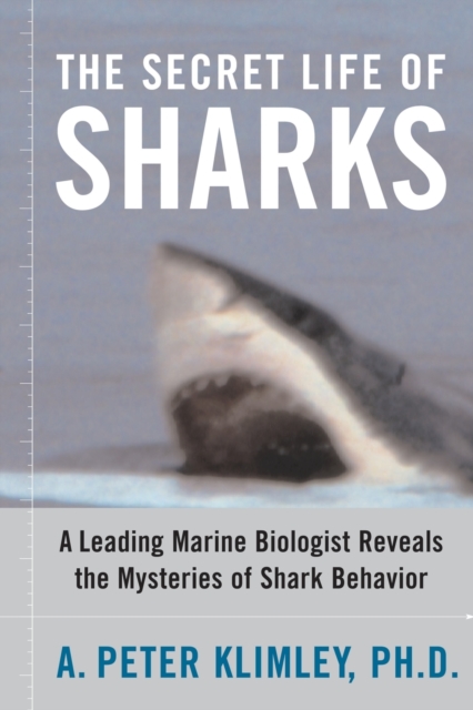 The Secret Life of Sharks : A Leading Marine Biologist Reveals the Mysteries of Shark Behavior, Paperback / softback Book