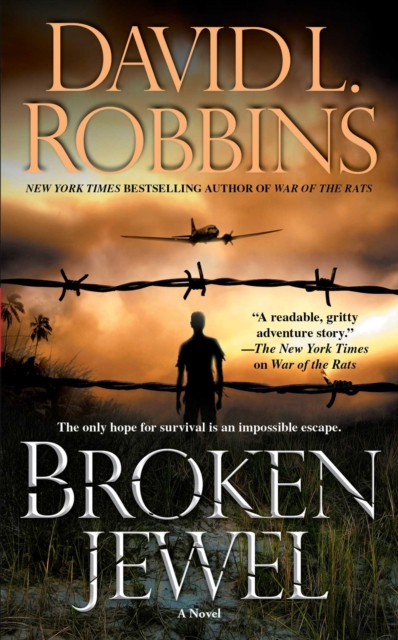 Broken Jewel : A Novel, EPUB eBook