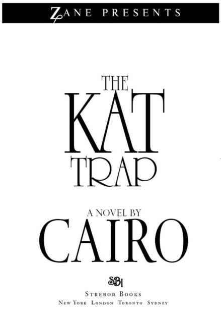 The Kat Trap : A Novel, EPUB eBook