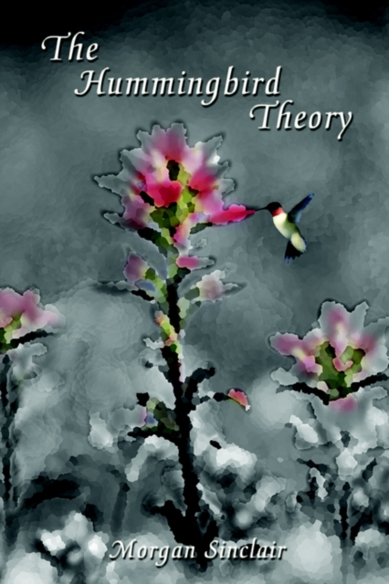 The Hummingbird Theory, Paperback / softback Book