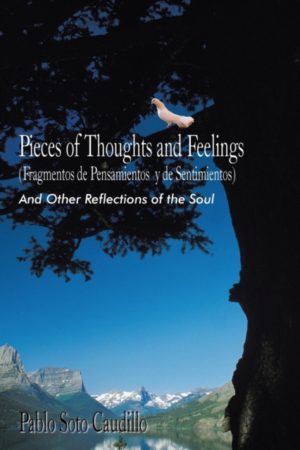 Pieces of Thoughts and Feelings (Fragmentos De Pensamientos Y De Sentimientos) : And Other Reflections of the Soul, Paperback / softback Book