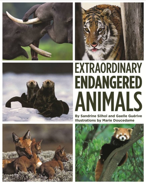 Extraordinary Endangered Animals, Hardback Book