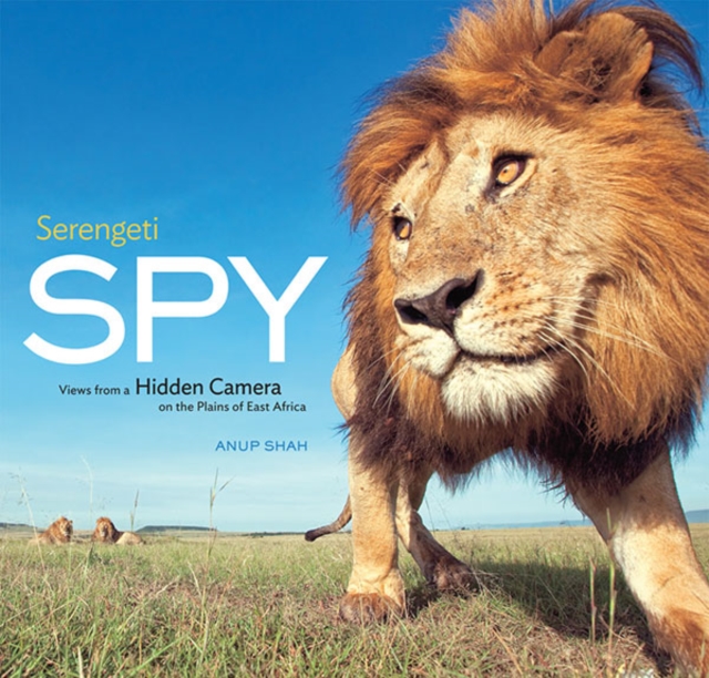 Serengeti Spy, Hardback Book