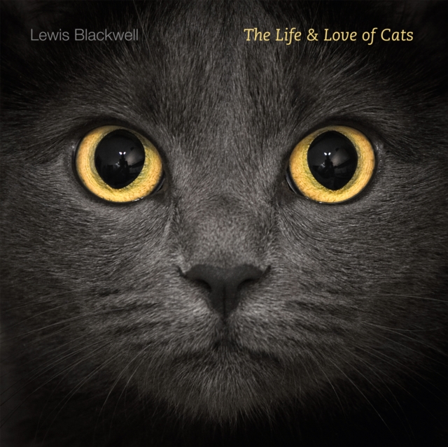 The Life and Love of Cats, Hardback Book