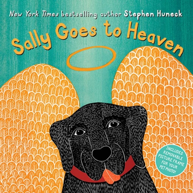 Sally Goes to Heaven, Hardback Book