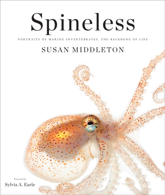 Spineless : Portraits of Marine Invertebrates, the Backbone of Life, Hardback Book