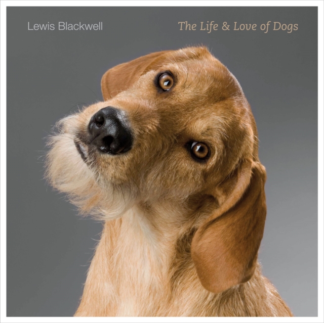 The Life and Love of Dogs, Hardback Book