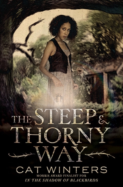 The Steep and Thorny Way, Hardback Book