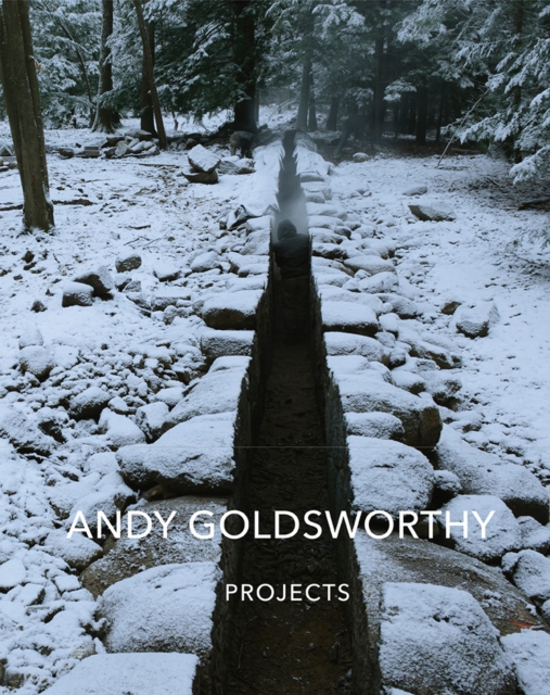 Andy Goldsworthy: Projects, Hardback Book