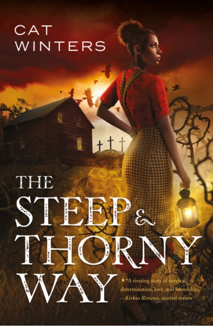 Steep and Thorny Way, Paperback / softback Book