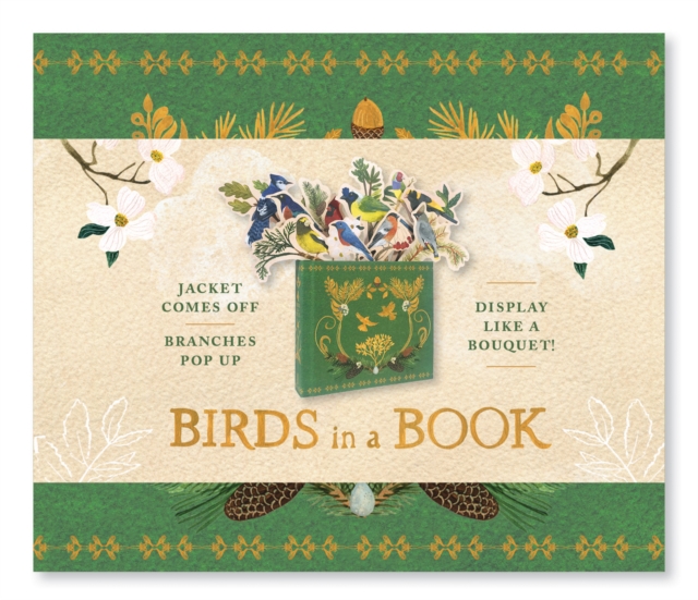 Birds in a Book (A Bouquet in a Book): Jacket Comes Off. Branches Pop Up. Display Like a Bouquet!, Hardback Book