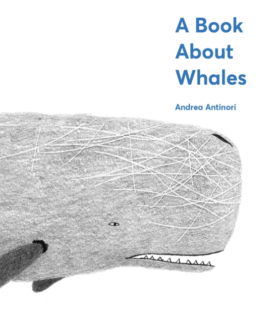 A Book About Whales, Hardback Book