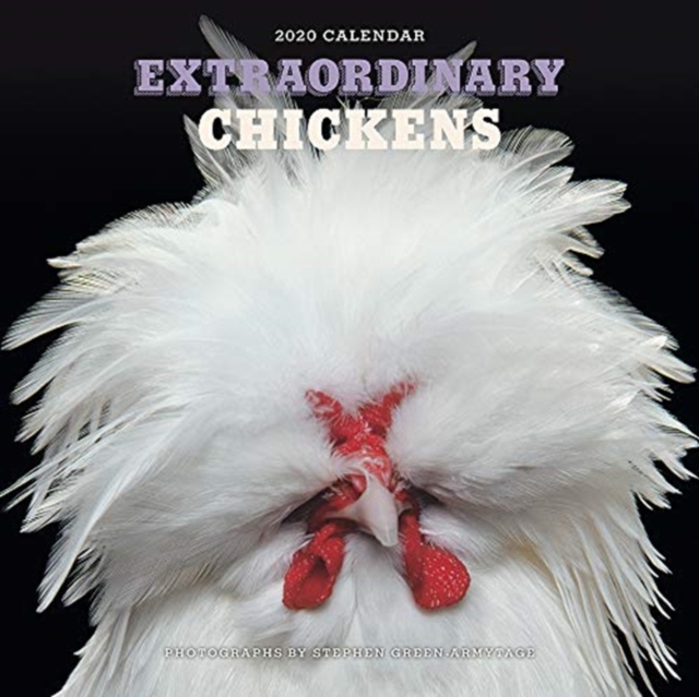 Extraordinary Chickens 2020 Wall Calendar, Calendar Book