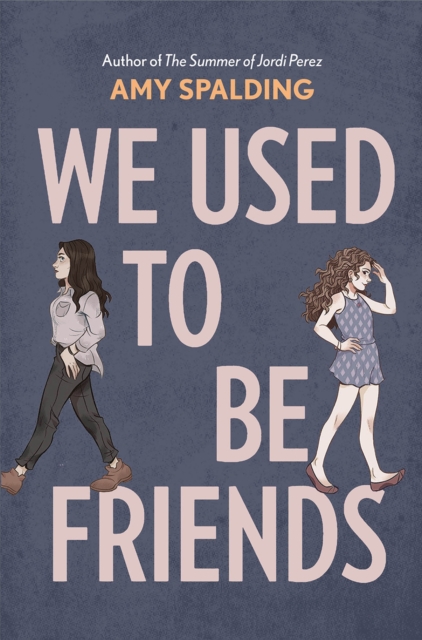We Used to Be Friends, Hardback Book