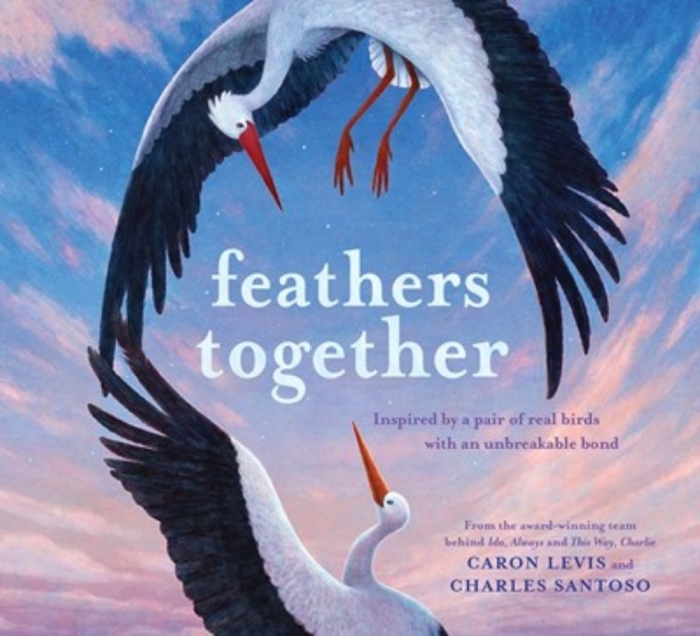 Feathers Together, Hardback Book