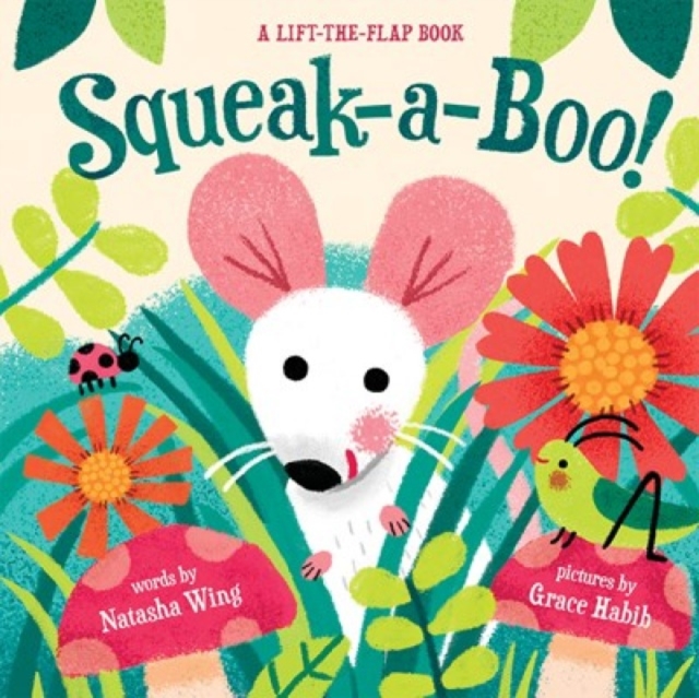 Squeak-a-boo!, Board book Book