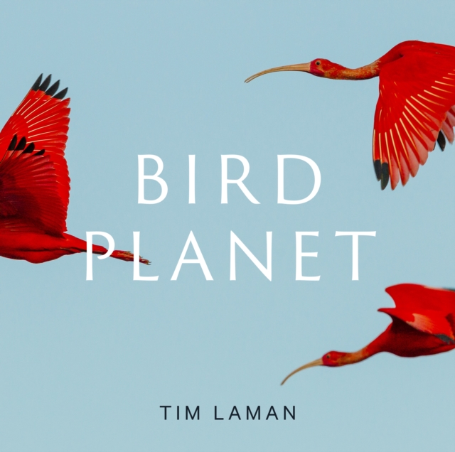 Bird Planet : A Photographic Journey, Hardback Book